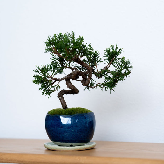 清らかな空気を纏い、余白に深い安らぎを