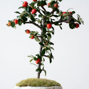 枝先に可愛らしい実をいっぱいつけます