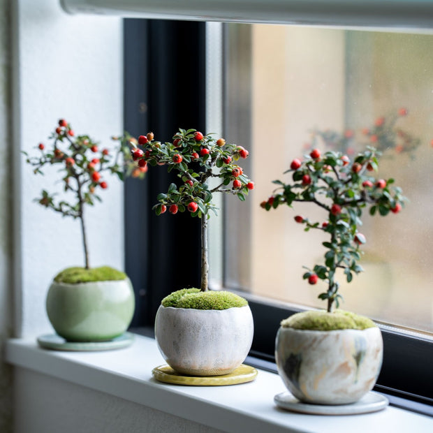 絵本に出てきそうな愛らしい姿に癒されます