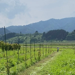 耕作放棄地を耕すところから取り組み、出荷まで４年の歳月を要しました。