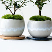 釉薬の濃淡や焼成時の炎の当たり具合により、多少色味や配色に個体差があります。