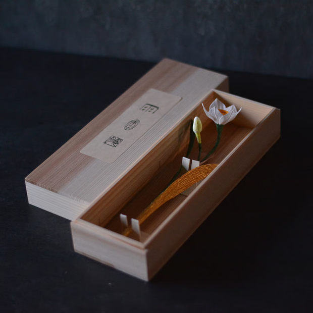 水仙　金の葉<br>木箱サイズ：幅8.4×奥行25.4×高7cm