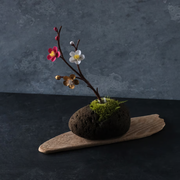 紅白金梅<br>一輪挿しの「時山　浮石（小）」は別売りとなります。