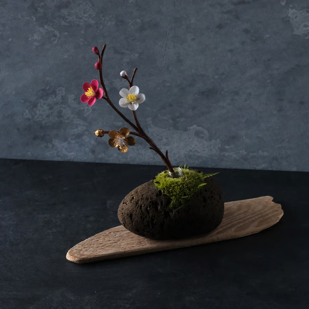 紅白金梅<br>一輪挿しの「時山　浮石（小）」は別売りとなります。