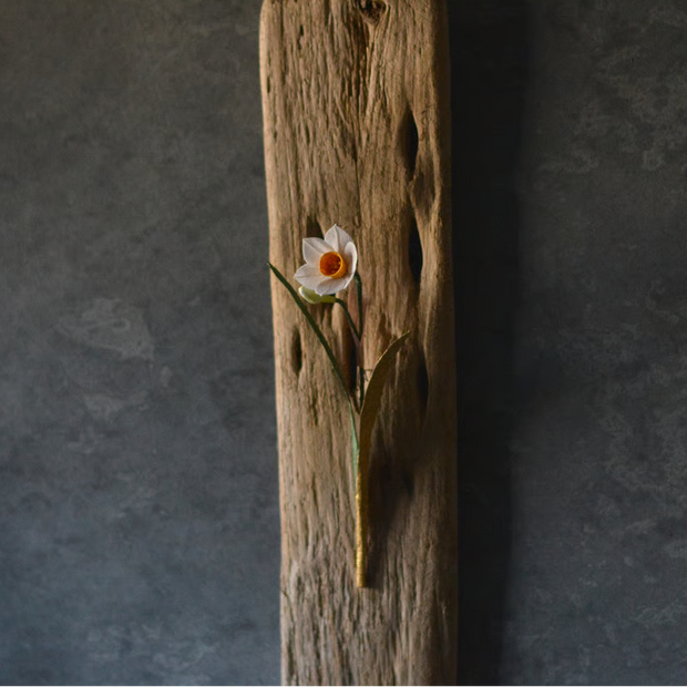 水仙　金の葉<br>長さ約22cm