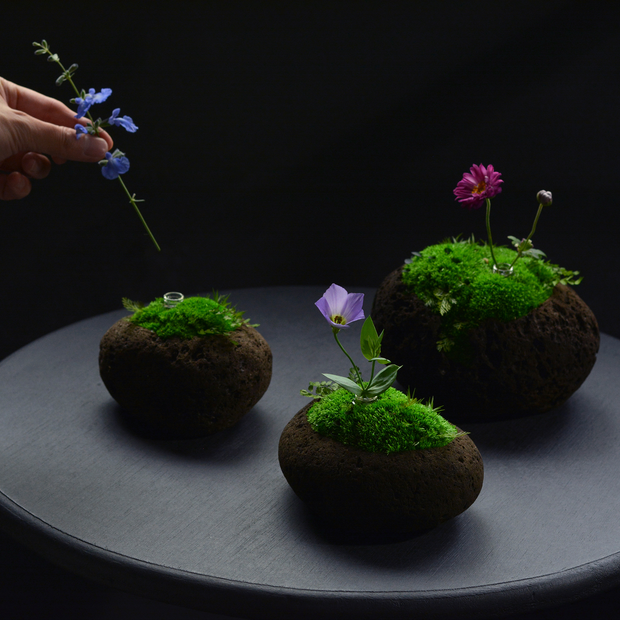 お正月の一輪以外にも、野草や野の花を一輪挿すことで、新しい景色が生まれます