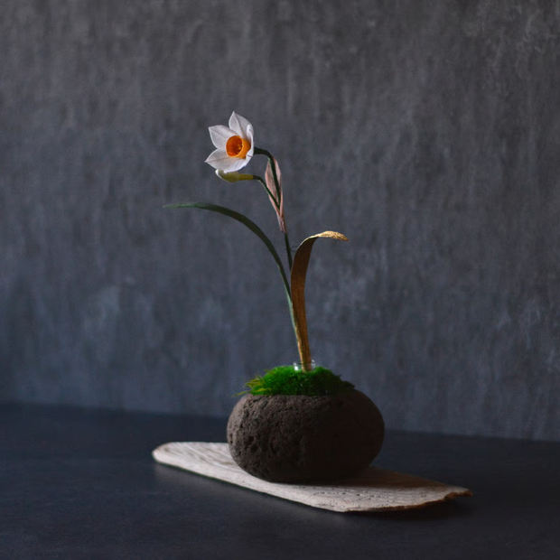 水仙　金の葉<br>一輪挿しの「時山　浮石（小）」は別売りとなります。