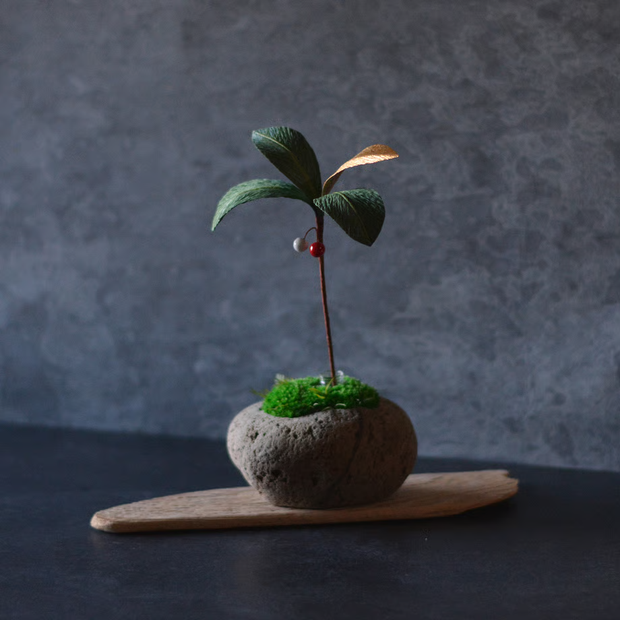 十両　金の葉<br>一輪挿しの「時山　浮石（小）」は別売りとなります。