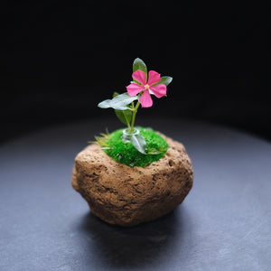 時山 浮石 小  直径約12cm<br>石の形・カラーはおまかせいただきます（ご指定いただけません）