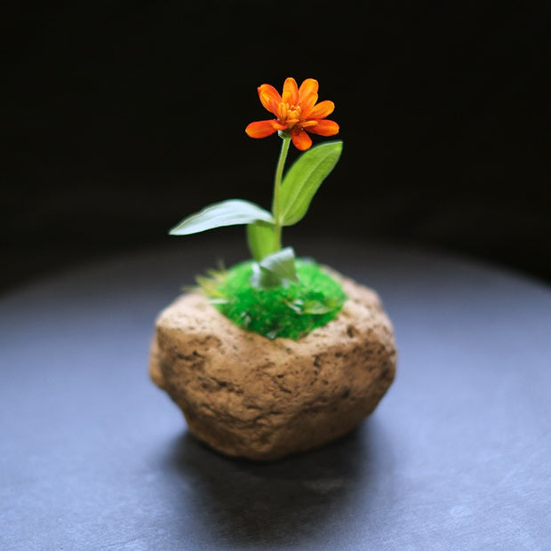 時山 浮石 小  直径約12cm<br>石の形・カラーはおまかせいただきます（ご指定いただけません）