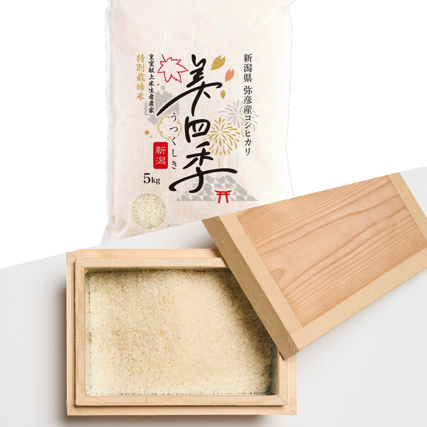 5kg+前田工房 茶箱（米5kg収納用）