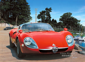イタリア車No.38 1967 AlfaRomeo Tipo33/2-Stradale