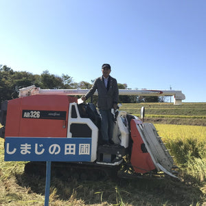 しまじのたんぼ（ひとめぼれ）