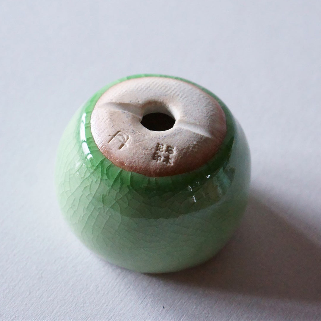 石木花 糸魚川シンパク（受け皿セット） ギフトにも最適なミニ盆栽